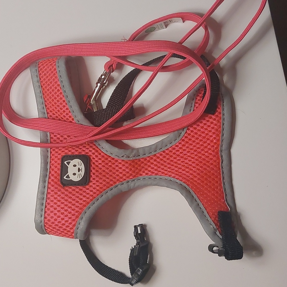Cat harness and leash